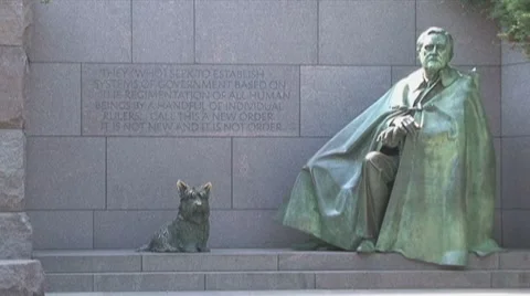Roosevelt Monument in DC Stock Footage 7909168