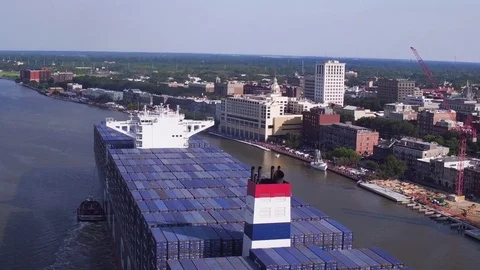 Roosevelt on Savannah River 库存影片 79656729