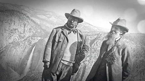 Roosevelt in Yellowstone: 3 Dynamic Moves in 3D Space, With Dramatic Lighting Stock Footage 204924077