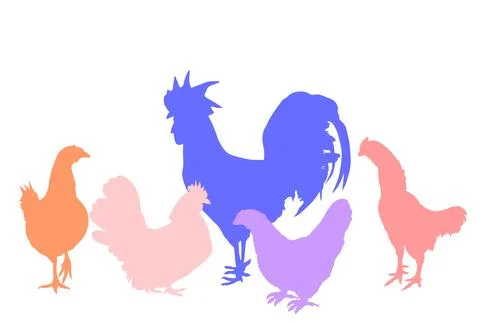 Rooster and chickens vector silhouette illustration Stockillustratie