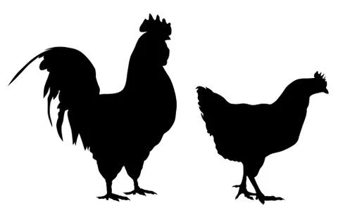 Rooster and hen Stock Illustration
