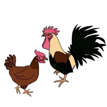 Rooster and hen Stock Illustration