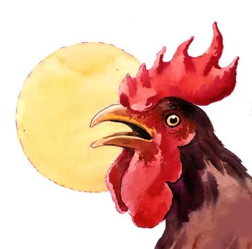 Rooster and sun Illustrazione stock