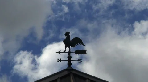 Rooster and  Wind Weather Concept HD Video stock 40716028
