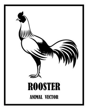 Rooster animal vector logo eps 10 Stock Illustration