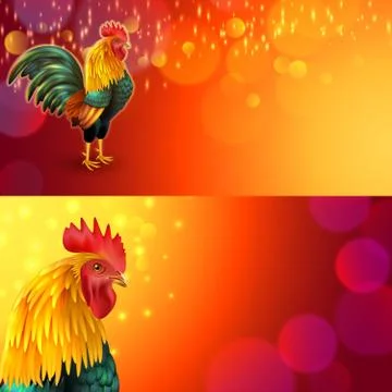 Rooster banner set Stockillustratie