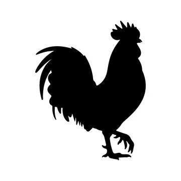 Rooster Bird Silhouette Vector Illustration Isolated On White Background 스톡 일러스트
