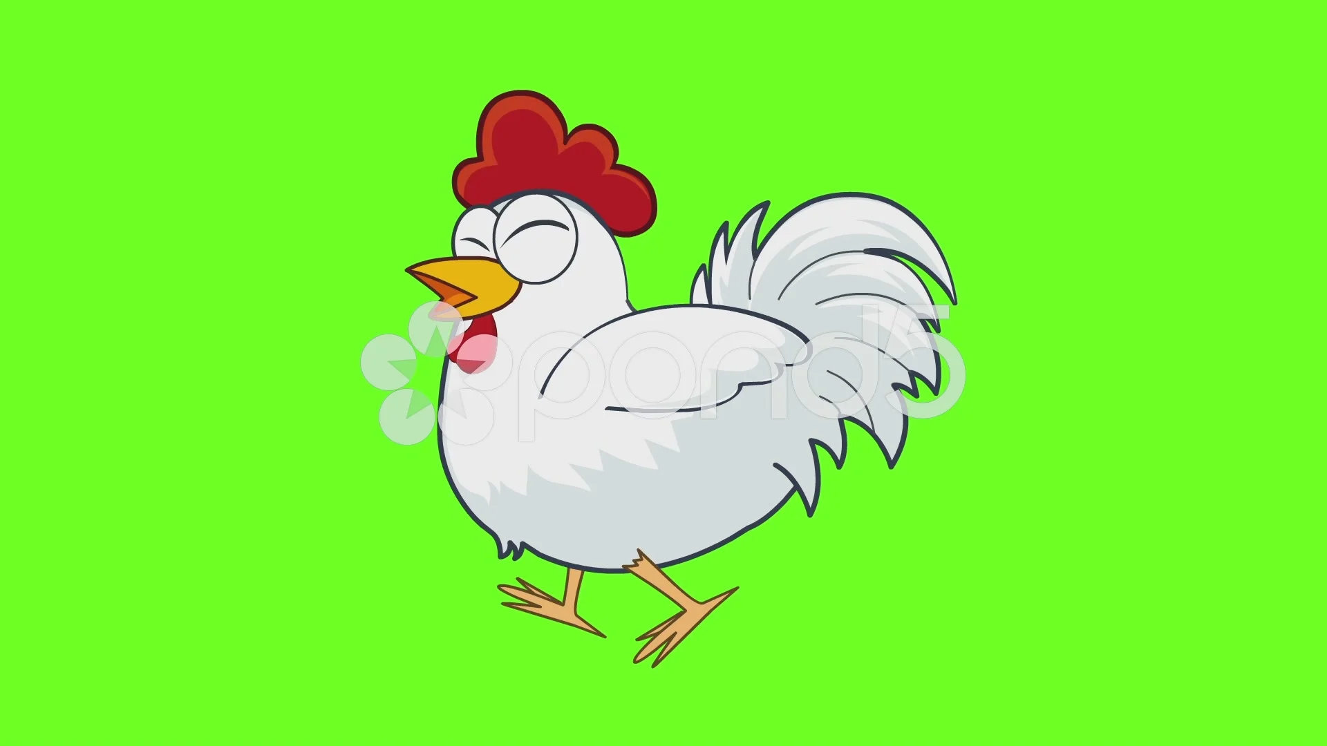 Rooster cartoon animation, green screen | Stock Video | Pond5
