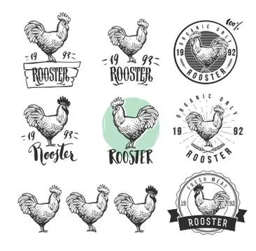 Rooster. Chicken logotypes set. Hen meat and eggs vintage produce elements. Stock Illustration