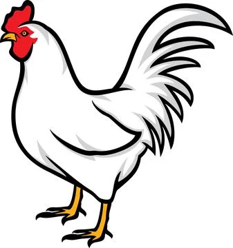 Rooster (Cock) Stock Illustration