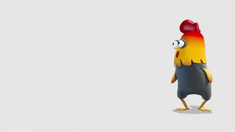 Rooster comes out from the right side of the screen 库存影片 163295546