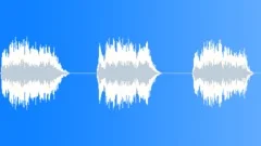 Rooster Crows Three Sound Effect