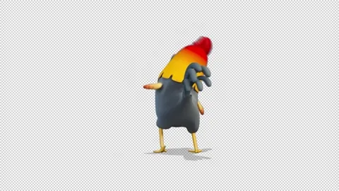 Rooster dancing a maraschino dance 库存影片 163295807