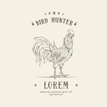 Rooster in graphic style, Stock Illustration