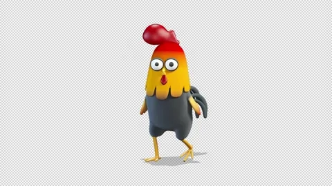 Rooster Happy walks 库存影片 163295755