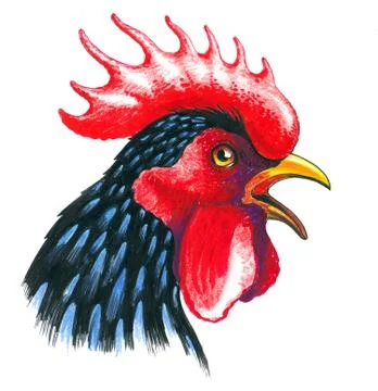 Rooster head Stock Illustration