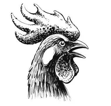 Rooster head Illustrazione stock
