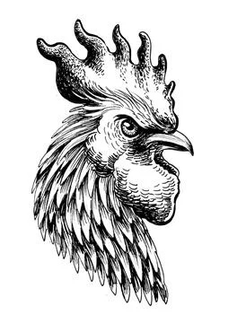 Rooster head Stock Illustration