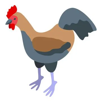 Rooster icon isometric vector. Chicken bird Stock Illustration