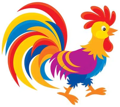 Rooster Stock Illustration