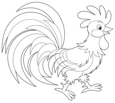 Rooster Stock Illustration