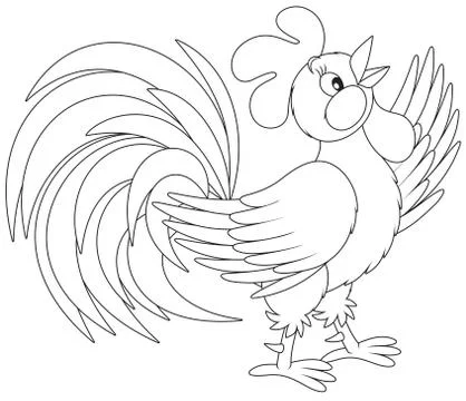 Rooster Stock Illustration