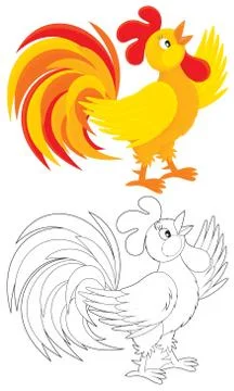 Rooster Stock Illustration