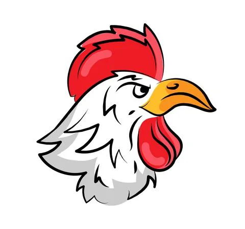 Rooster Stock Illustration