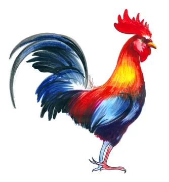 Rooster illustration Stock Illustration