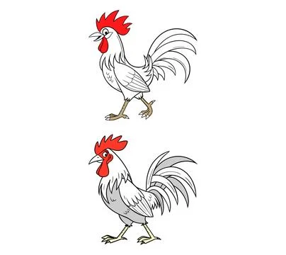 Rooster isolated vector on white background Stock Illustration