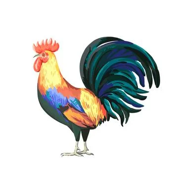 Rooster, isolated on white background. Realistic vector illustration Stock Illustration
