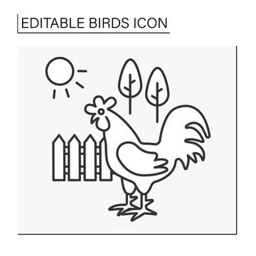 Rooster line icon Stock Illustration