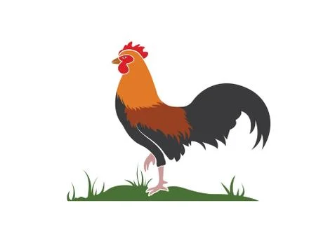 Rooster logo vector illustration template Stock Illustration