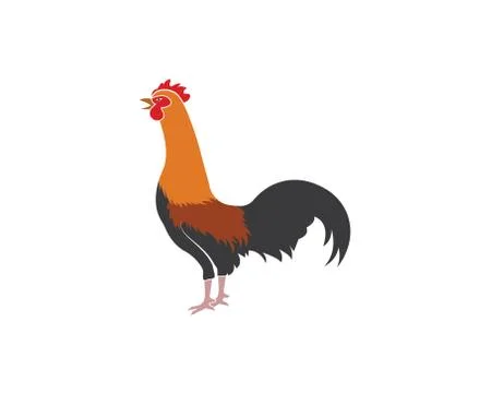 Rooster logo vector illustration template Stock-Illustration