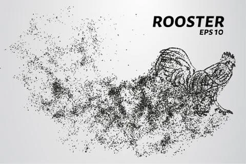 Rooster of the particles. The cock consists of small circles and dots. Illustration