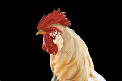 Rooster Stock Photos