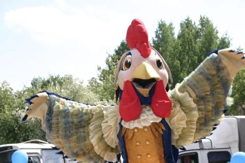 Rooster Stock Photos