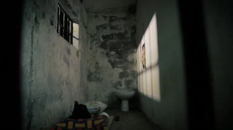 Rooster Prision Stock Footage 68500217