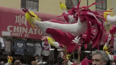 Rooster Chinese Stock Footage ~ Royalty Free Stock Videos | Pond5