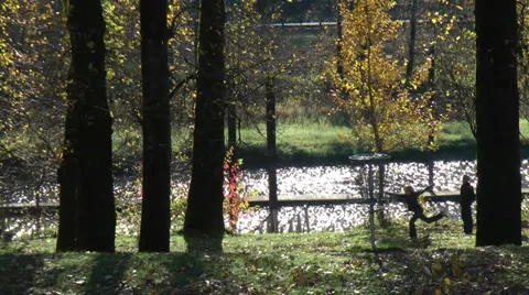 Rooster rock state park disc golf Video stock 30487003