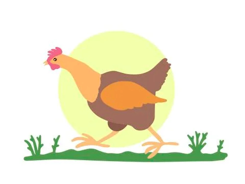 Rooster runs through the grass. Scared bird Animal for a walk. Animal print Stock Illustration