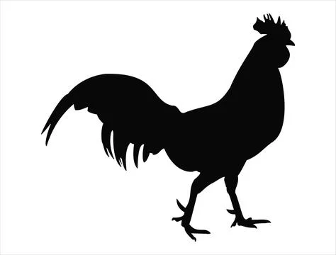 Rooster silhouette vector art Stock Illustration