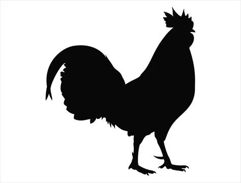 Rooster silhouette vector art Stock Illustration
