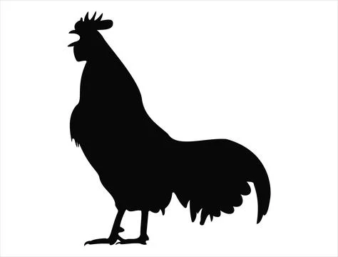 Rooster silhouette vector art Stock Illustration