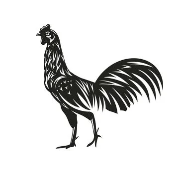 Rooster silhouette vector illustration Stock Illustration