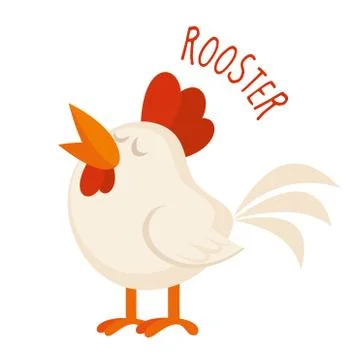 Rooster Vector illustration isolated Stock Illustration
