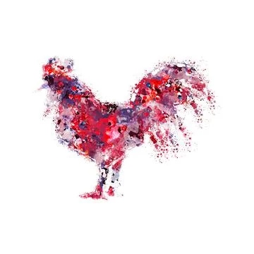 Rooster vector illustrationdigital art wall art shirt print Stock Illustration
