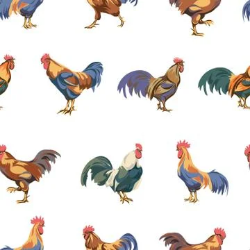 Rooster, vector, pattern Illustrazione stock