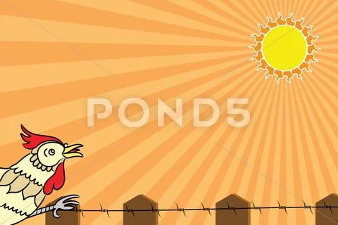 Rooster Wake Up Call Stock Illustration