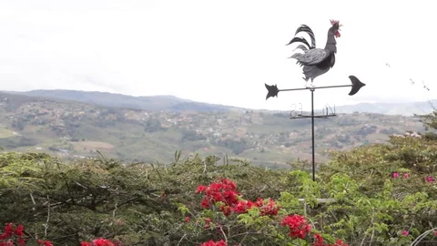 Rooster weather vane facing north at country house in rural area Stock Footage 122308096